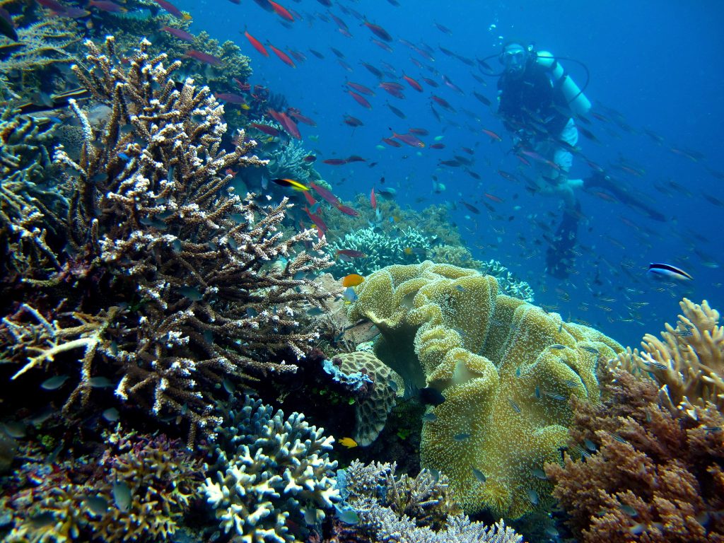 Pemandangan Pulau Piaynemo, Raja Ampat